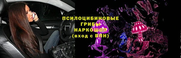 молекула духа Алексин