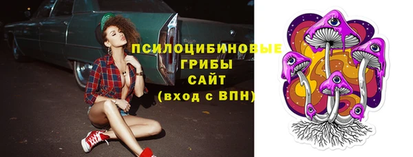 молекула духа Алексин