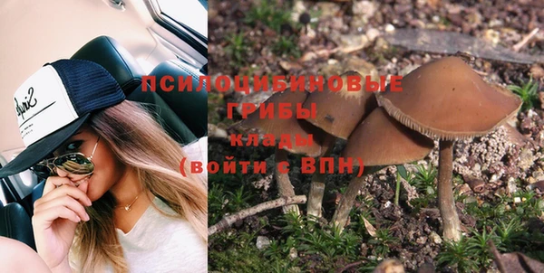 прущие крисы Алзамай