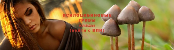 винт Абаза