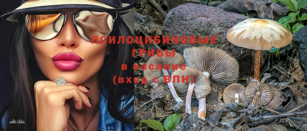 прущие крисы Алзамай