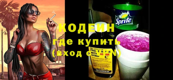 индика Абинск
