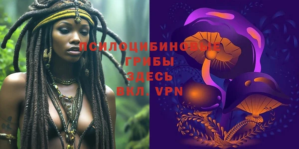 молекула духа Алексин