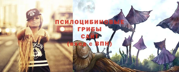 прущие крисы Алзамай