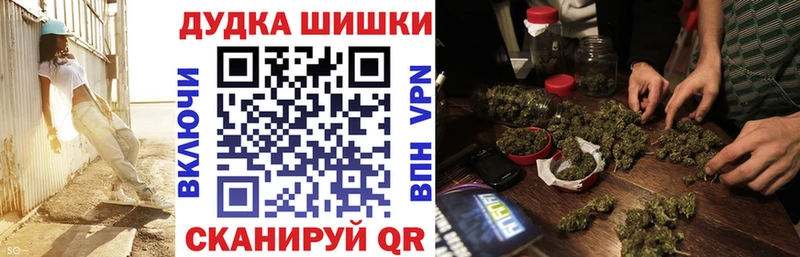Канабис планчик  купить закладку  Суджа 